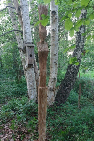 Toni Kanwa Adikusumah - Pamor nature (AMDD)(Wood: mahogany)